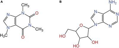 Caffeine intake improves the cognitive performance of patients with chronic kidney disease